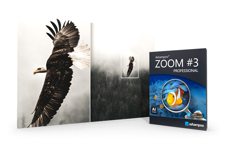 Ashampoo-ZOOM-3-professional-obrazek Ashampoo ZOOM #3 professional obrázok v popise produktu.